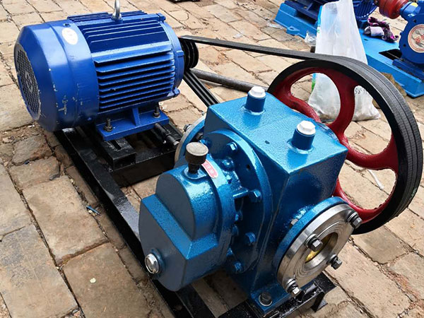 LCW保温罗茨泵皮带轮链接